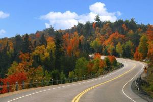 Sun Life отказали в страховке из-за веса ребенка