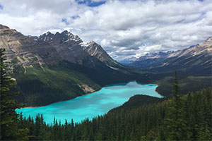 Канада ждет иммигрантов несмотря на рост безработицы