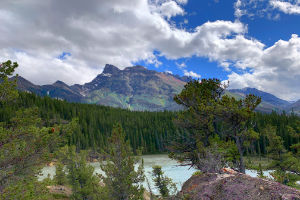 Финансовые результаты пандемии