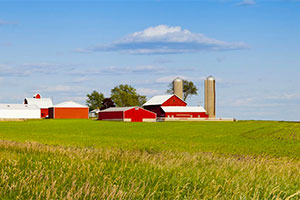 Трое детей погибли, после поездки в ковше трактора 