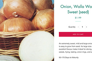 Facebook заблокировал рекламу лука за излишнюю сексуальность