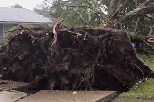 Ураган Dorian прошел по Nova Scotia 