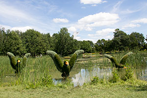 Недвижимость в Монреале падает
