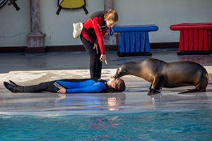 Таможня дает слишком много добра