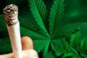 Торонто потеряет туристов любителей марихуаны