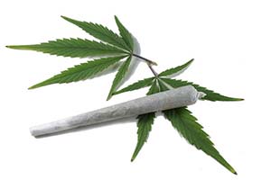 Больше канадцев курят траву, чем в 1985