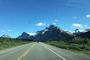 Пограничники депортировали 398 нелегальных мигрантов