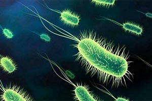 К 2050-му году из-за стойкости к лекарствам погибнет 400,000 канадцев