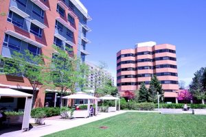 Госпиталь в Торонто уволил 150 сотрудников за мошенничество