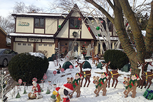 Новогоний дом