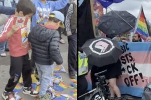 Пять арестованных в результате протестов по гендерной идеологии. 