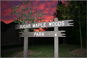 В парке Mississauga возможно родился ребенок