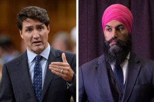 Либералы и новые демократы могут объединить силы