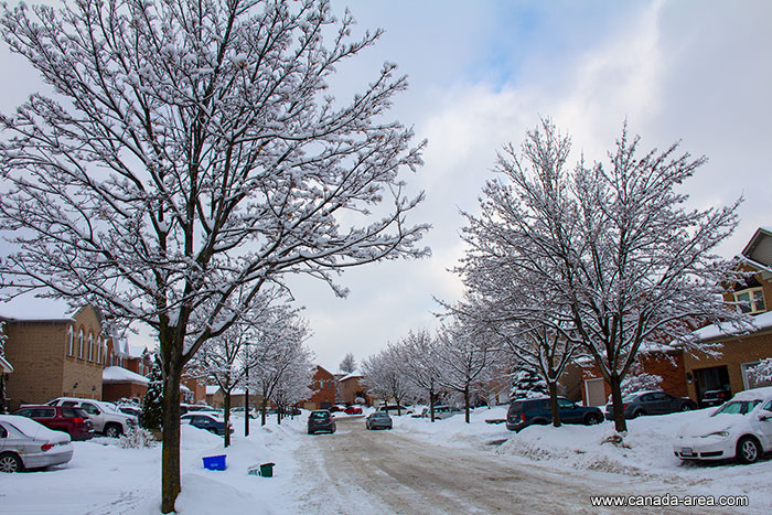 Замерзшие улицы Торонто