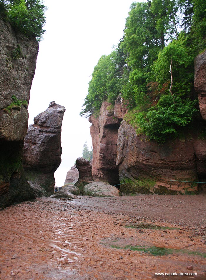 Hopewell Rocks во время отлива