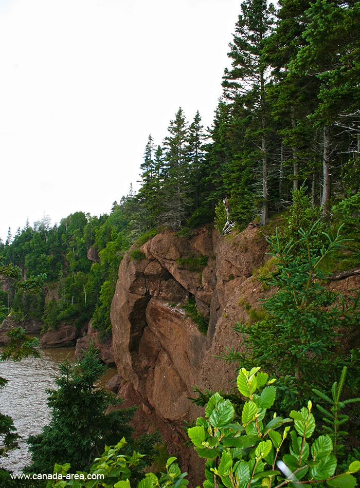 Берег парка Hopewell Rocks