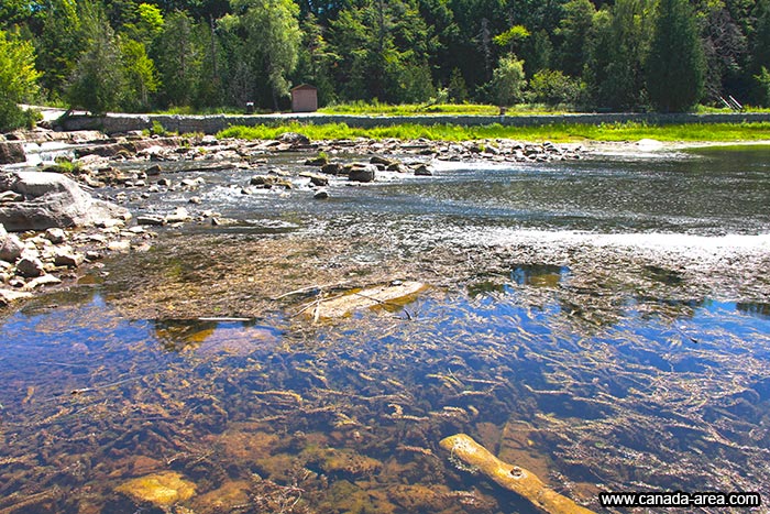 Река Sauble River