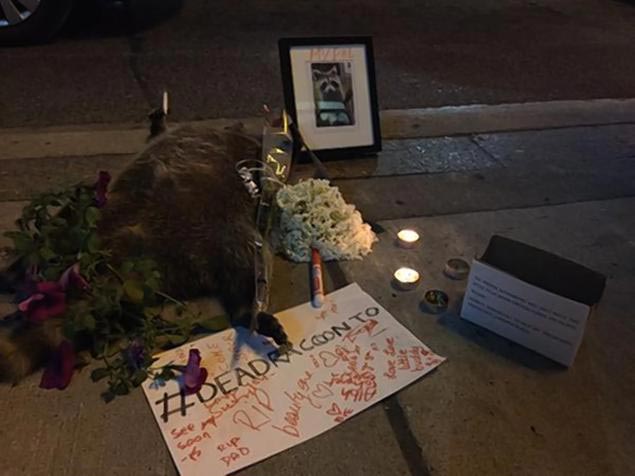 Поминки енота